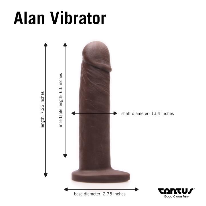 Alan Dual Density Vibrating Dildo Kit